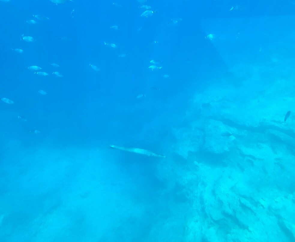 Corfu Sea Discovery-Paleokastritsa必去景点