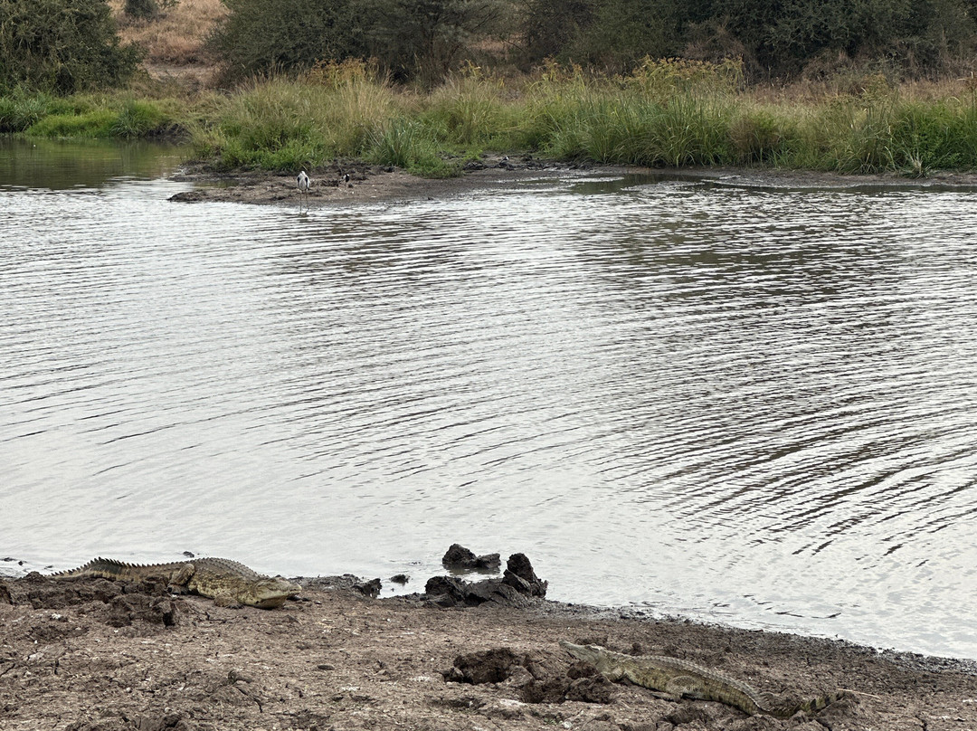 NIVLEK TOURS-内罗毕必去景点