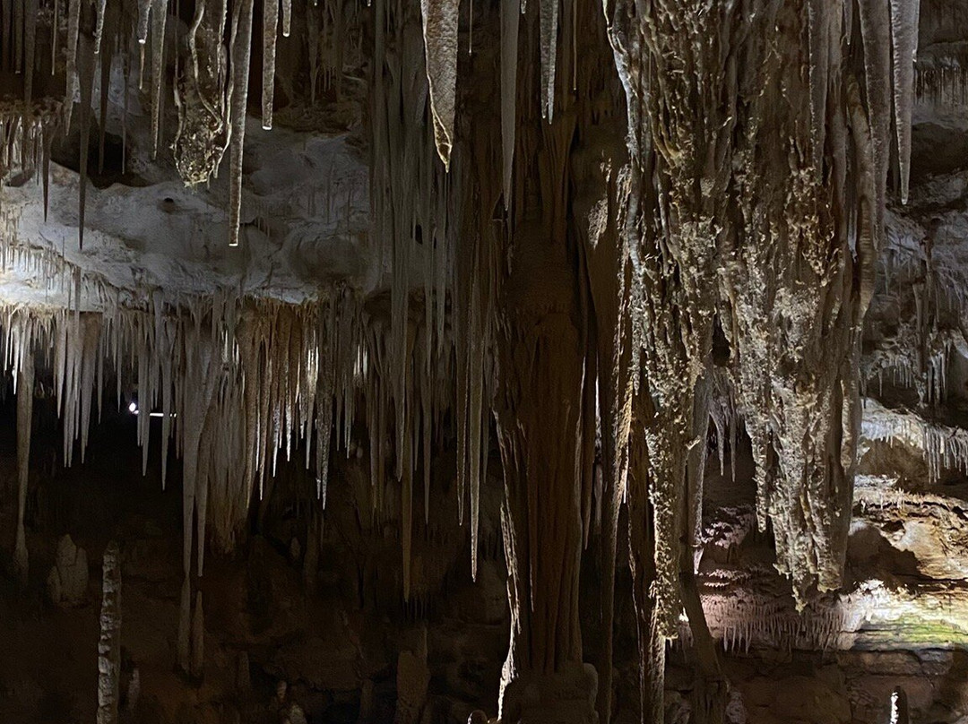 Tantanoola Caves Conservation Park-Tantanoola必去景点