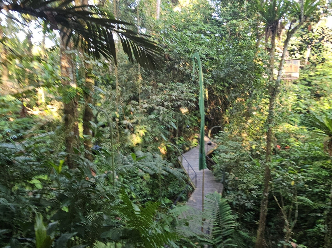 Sacred Canyon Ubud by GenuineHost