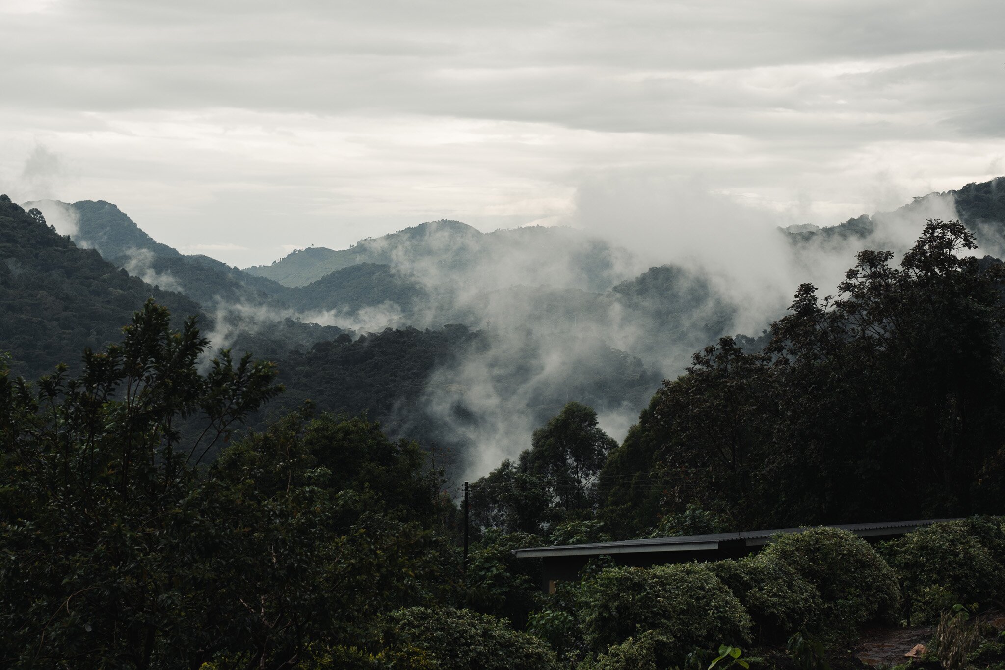 Silverback-酒店景观