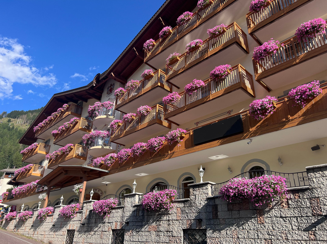 Albergo alla Rosa - B&B主图