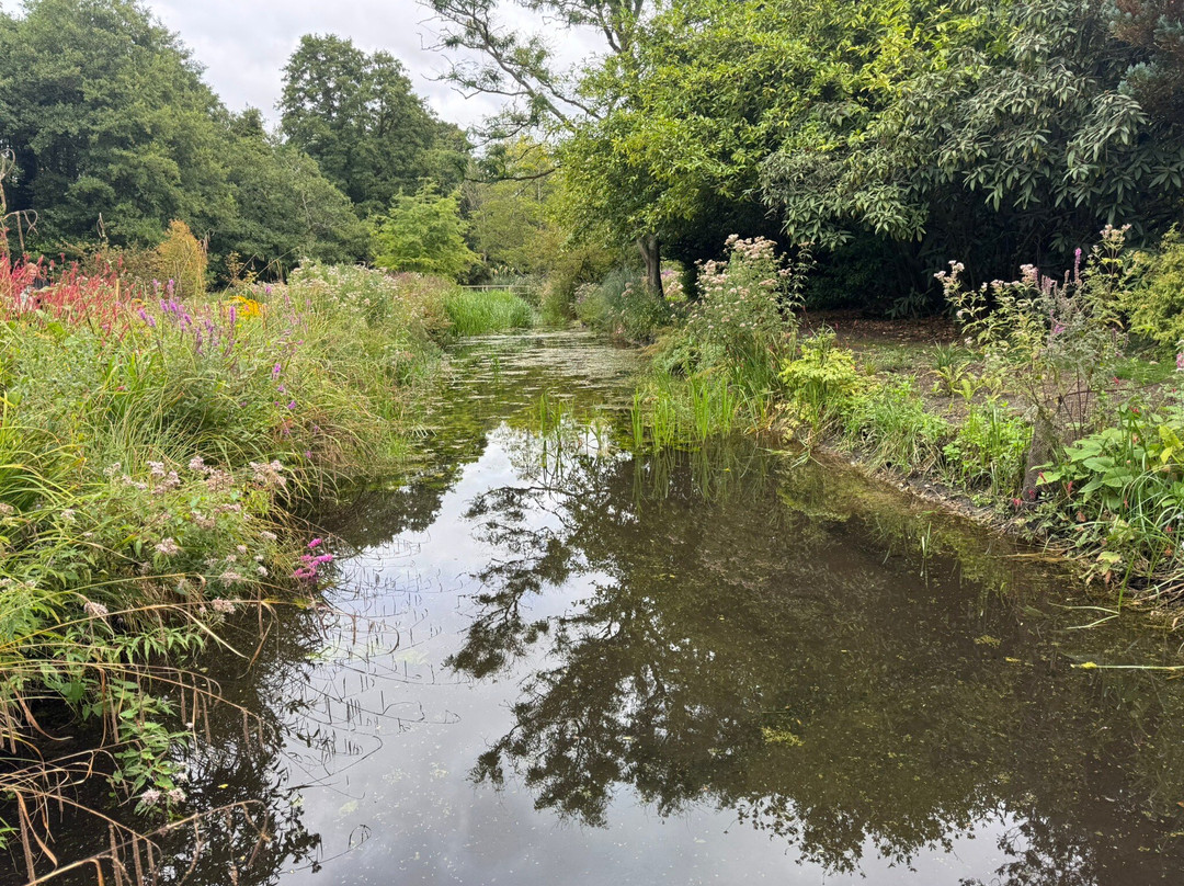 Gooderstone Water Gardens & Nature Trails-金斯林必去景点