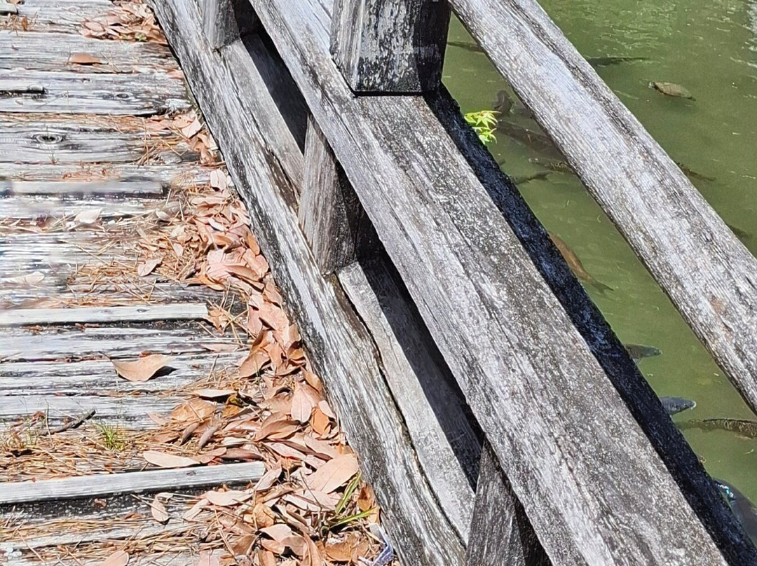 Statue of Kazutoyo Yamauchi-高知市必去景点