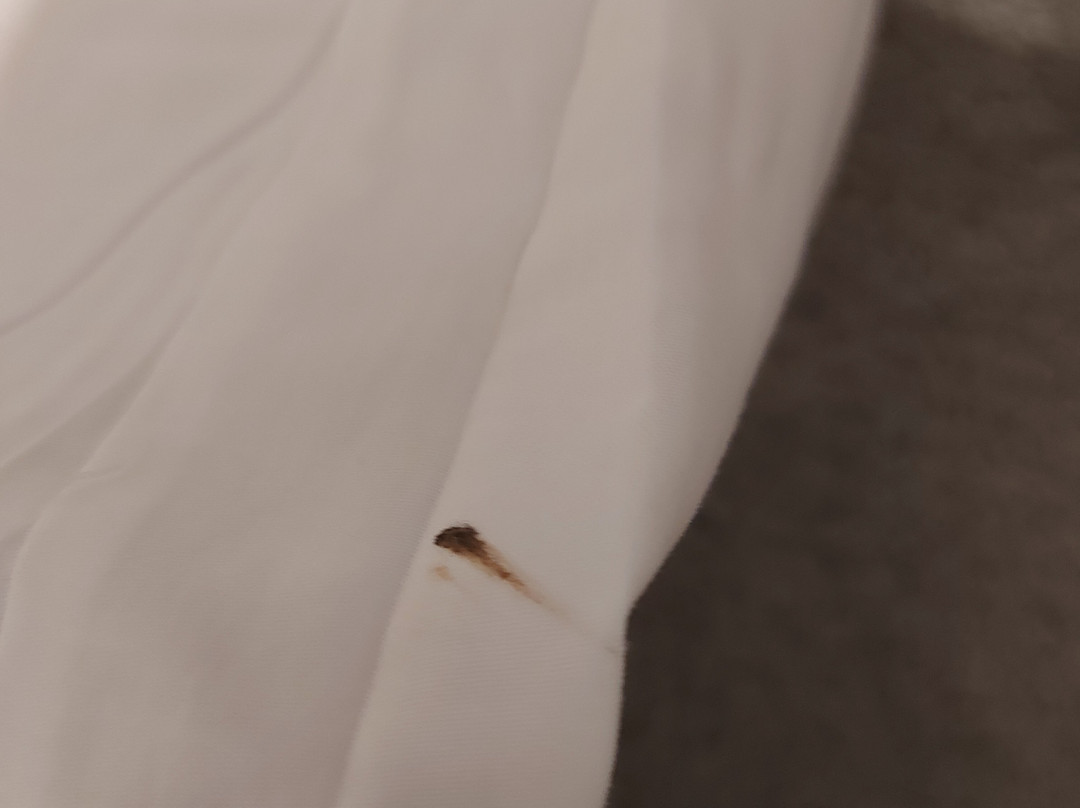 沙雷维茨设计及水疗酒店主图