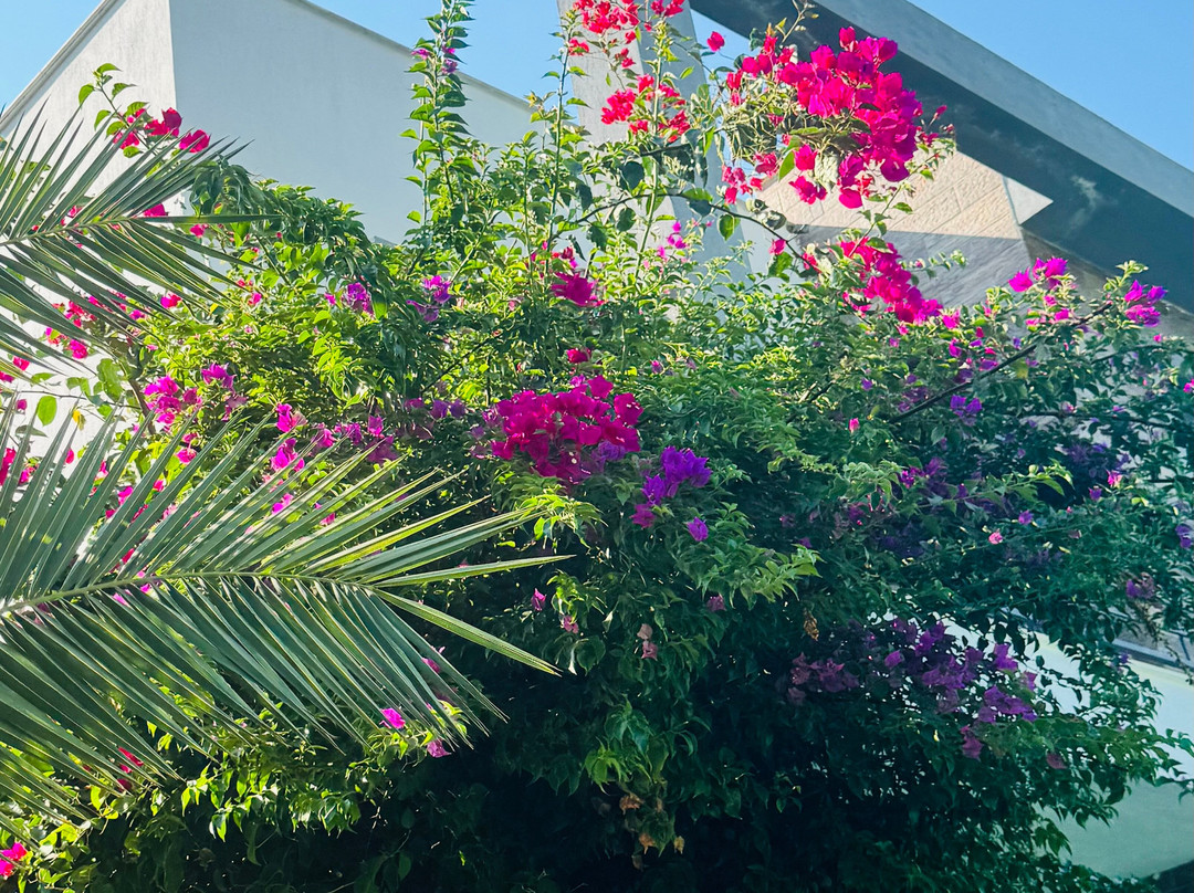 Malta Hotel Bodrum