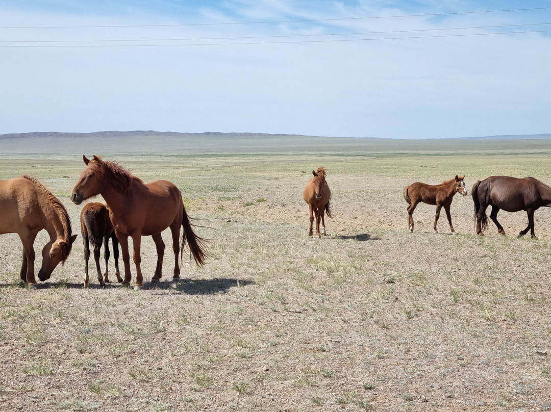 Gaya's Guest House主图