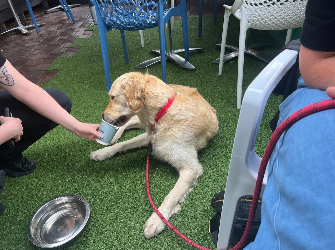 Residence Cafe Bar Moortown