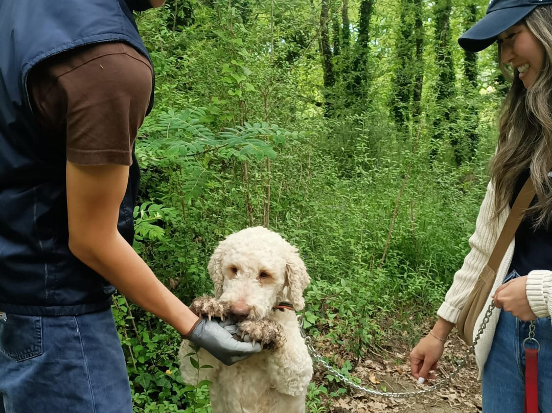 Truffle Hunting in Tuscany-卡斯德尔诺沃贝拉登卡必去景点