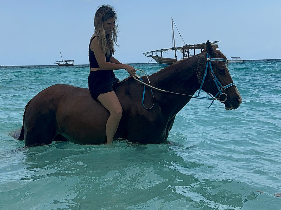 Zanzibar Horse Club-孥归必去景点