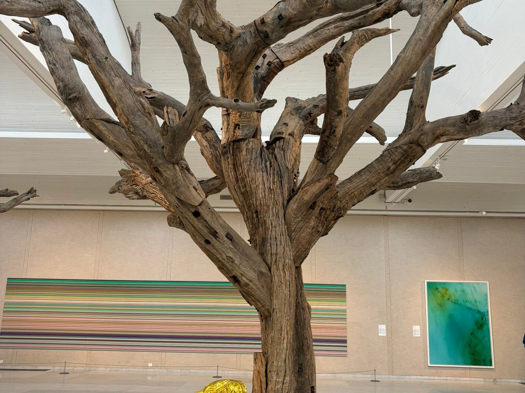 Kunsten Museum of Modern Art Aalborg-奥尔堡必去景点