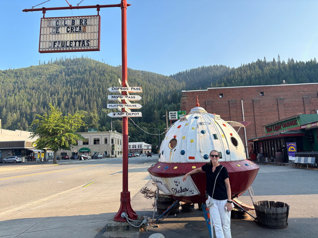 The Stardust Motel主图