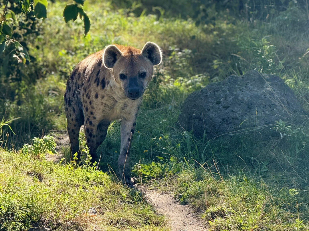 Randers Regnskov-兰讷斯必去景点
