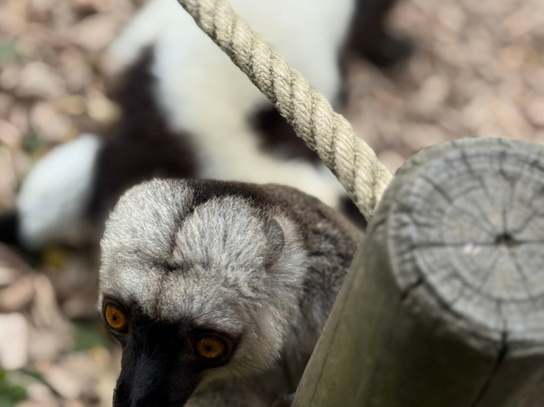 Zoo de Champrepus-Champrepus必去景点