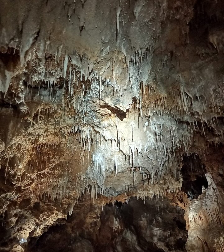 Grotte de Clamouse-Saint-Jean-de-Fos必去景点