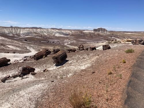 Crystal Forest Trail-石化林国家公园必去景点