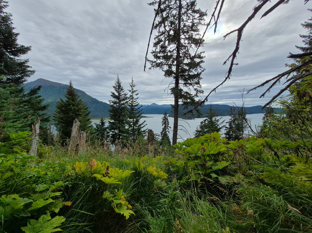 St. Augustine's Sea Kayak And Day Tours-荷马必去景点