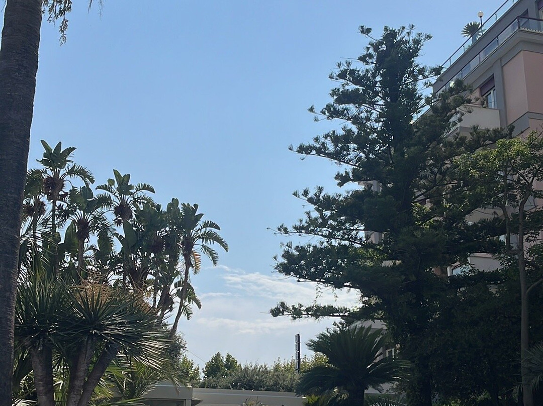 Reginna Palace Hotel主图