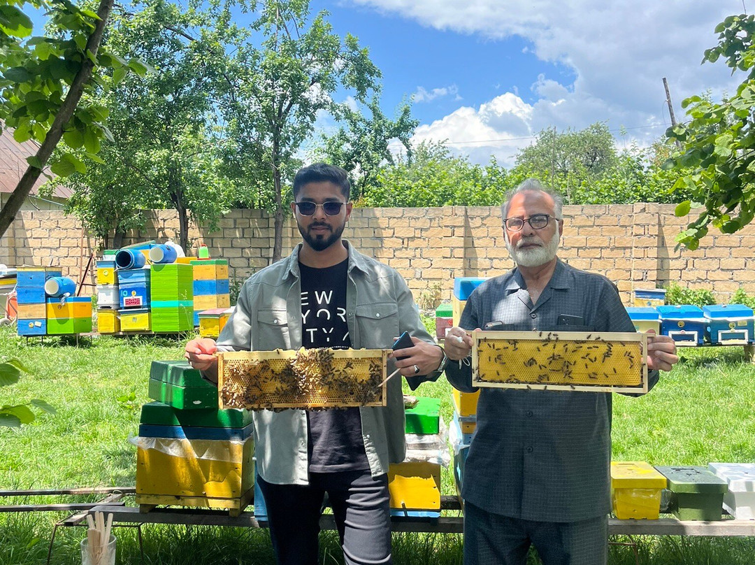 Tofiqoghlu Beekeeping Experience-Zaragan必去景点