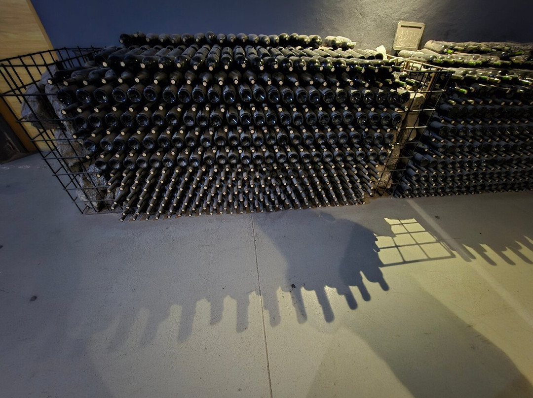 Vistandes Winery-Maipu必去景点