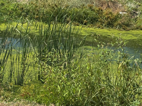 Palemon Resort And Spa Hotel