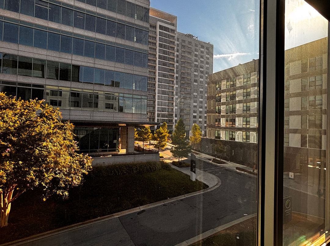 Element Atlanta Buckhead主图