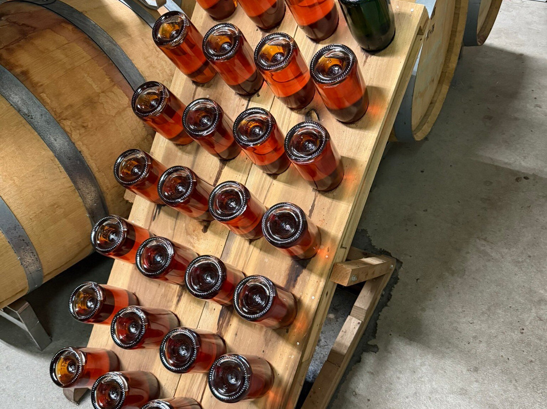 Beans Creek Winery-Manchester必去景点