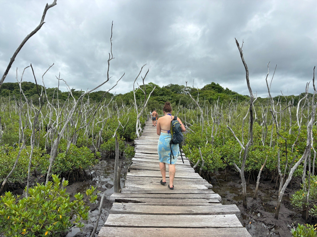 Cabinas Las Olas主图