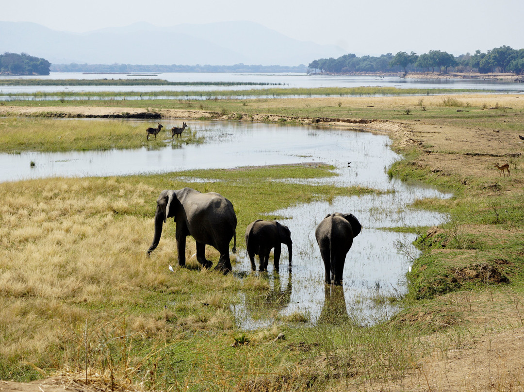 Camping Sites at Mana Pools National Park-马拉波尔斯国家公园必去景点