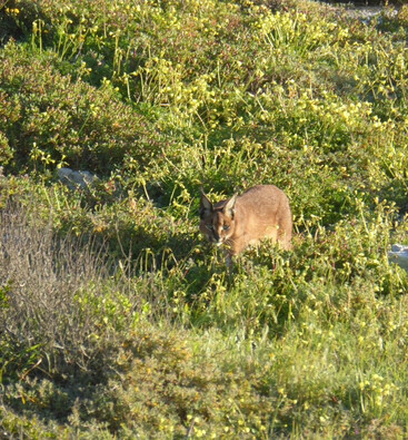 This is Cape Town-开普敦中心区必去景点