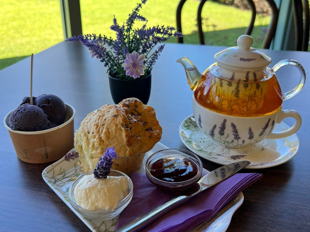 Cape Lavender Tea House-雅林角必去景点