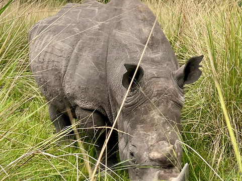 Econest Tim Tours & Safaris-坎帕拉必去景点