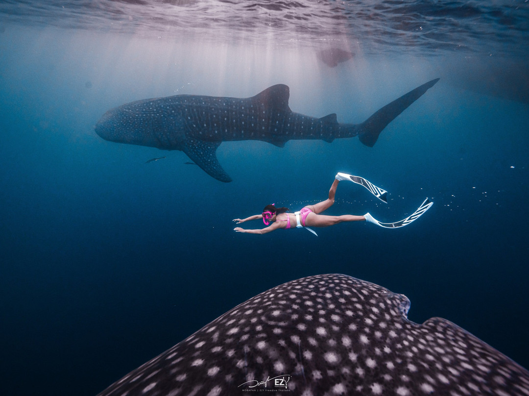 Sumbawa Holiday Tour-Sumbawa Besar必去景点