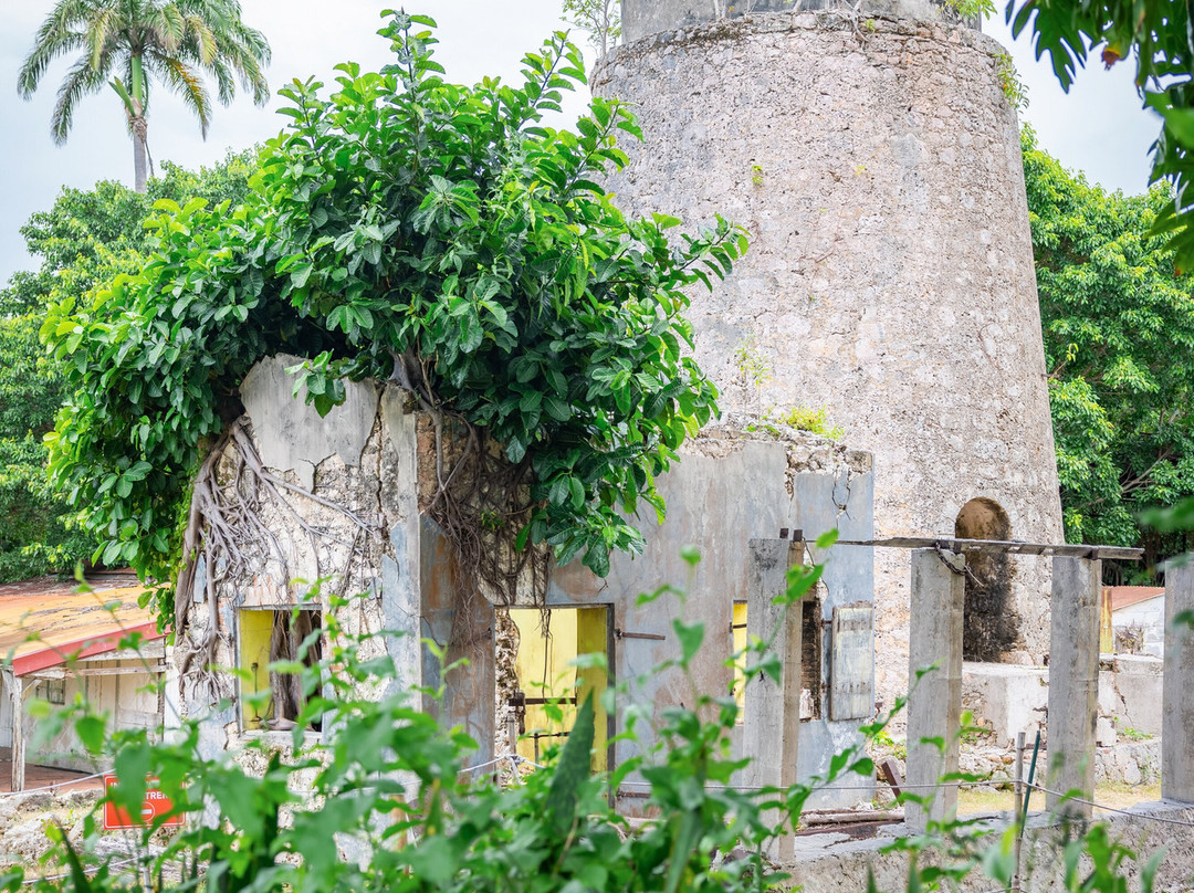 Habitation Néron-Le Moule必去景点