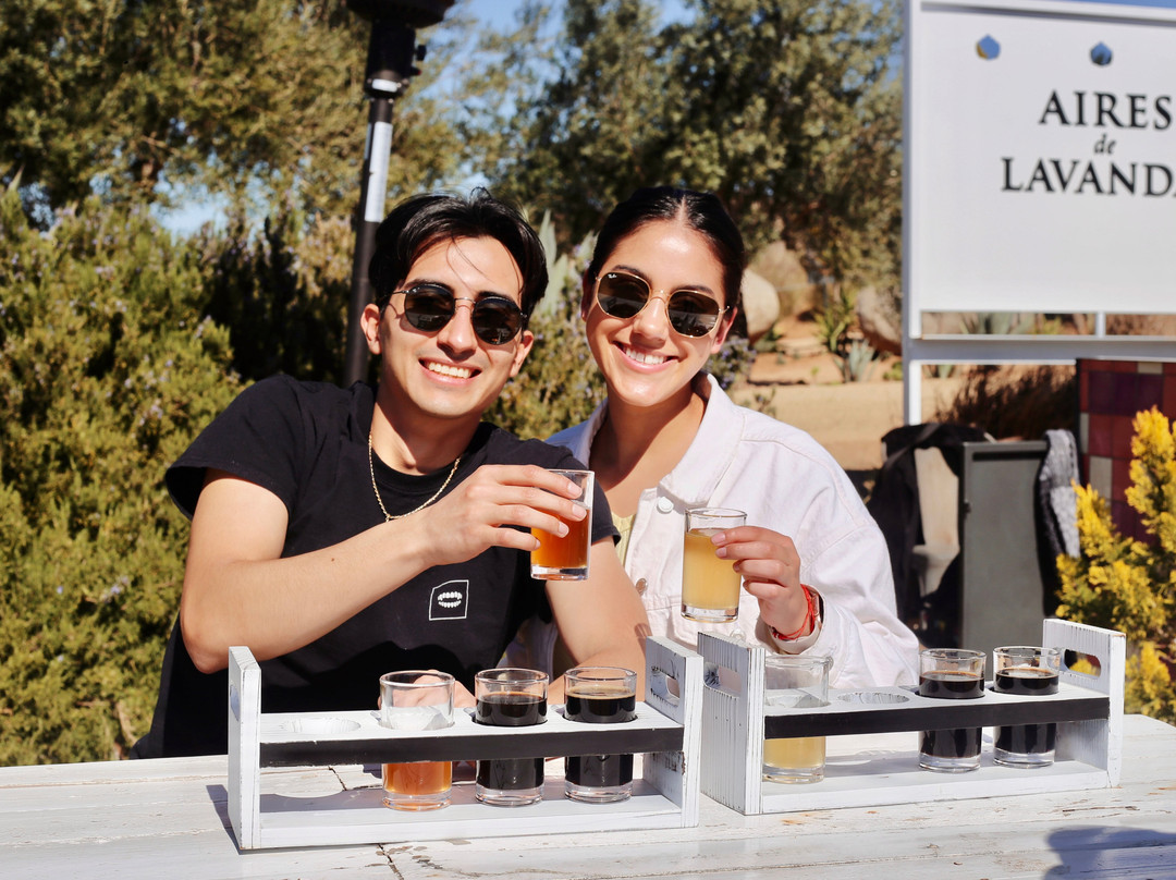 Aires de Lavanda-Valle de Guadalupe必去景点