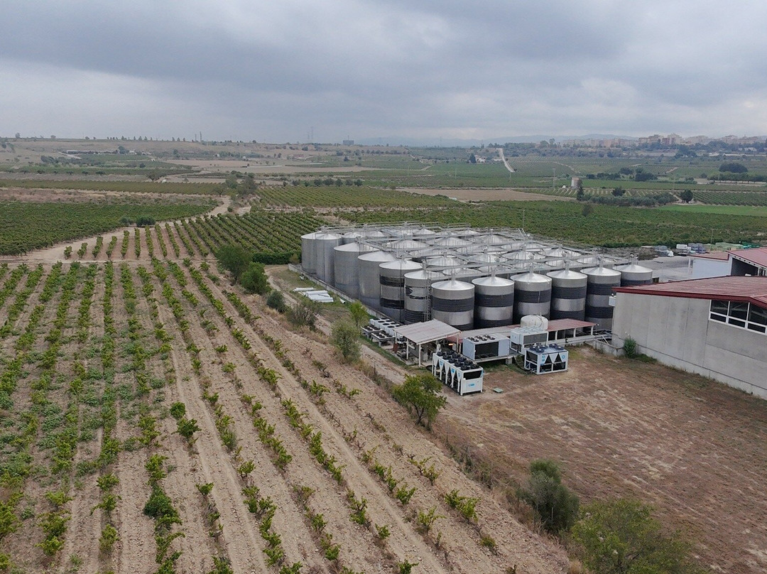 Mastinell Cava & Boutique Hotel By Olivia Hotels Collection主图