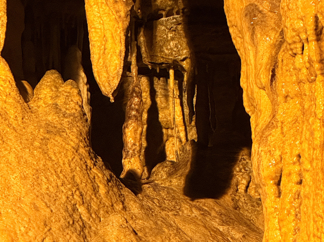 Lost World Caverns-Lewisburg必去景点