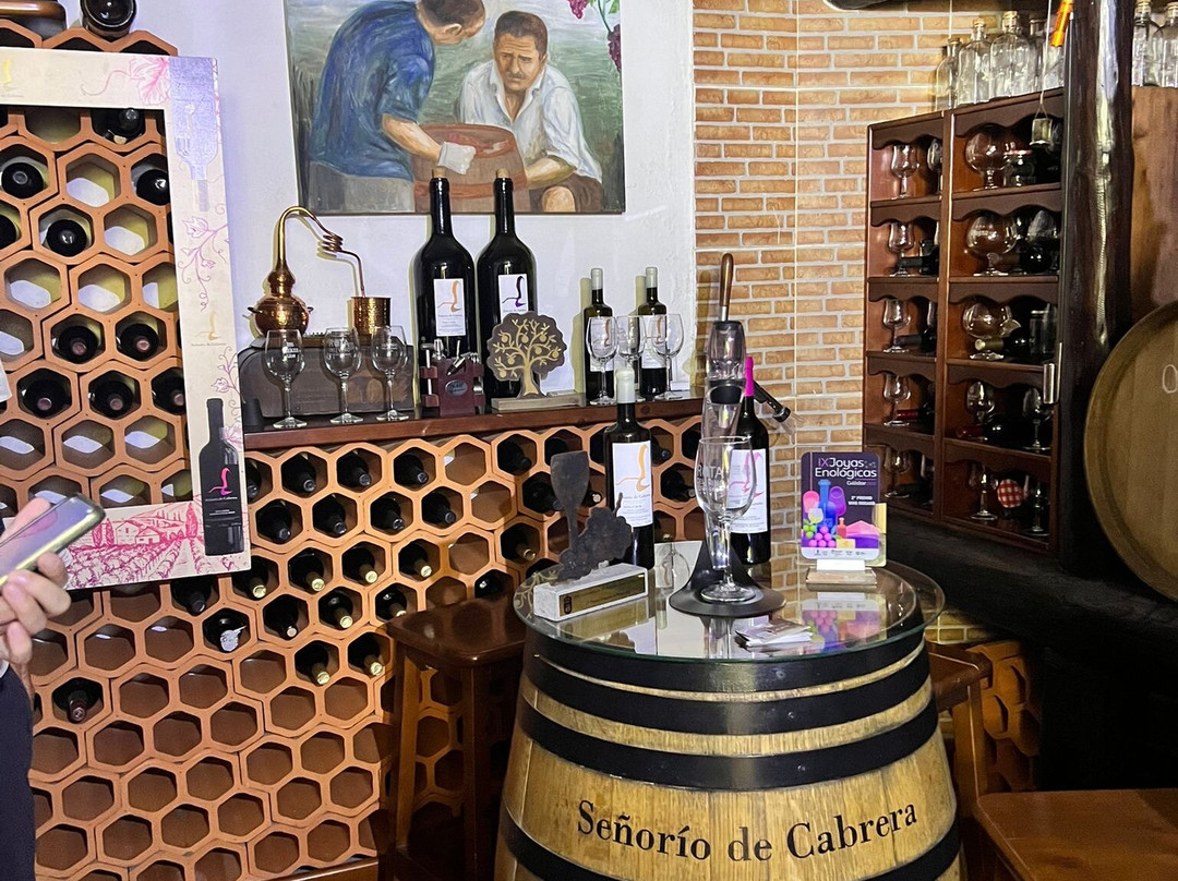 Handmade Tours.-大加那利岛拉斯帕尔马斯必去景点