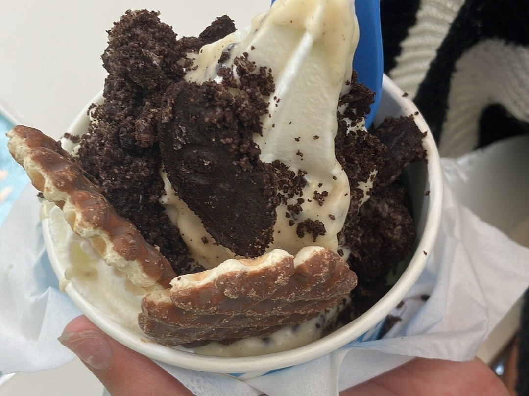 Yogoo Natural Frozen Yogurt