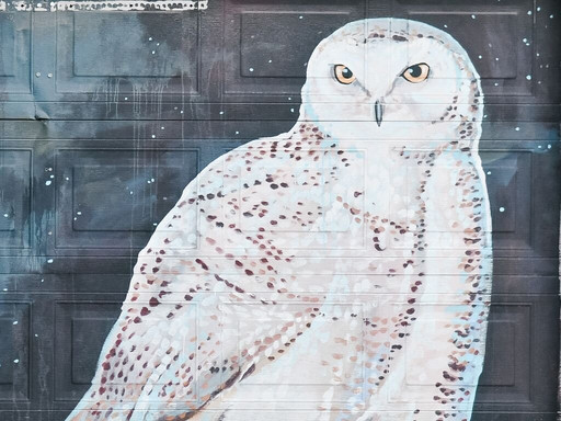 Winnipeg Trolley Company-温尼伯必去景点