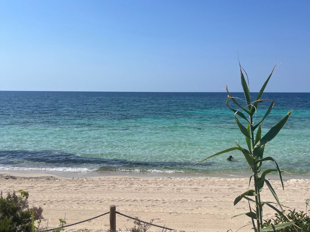 Platja de Migjorn-Migjorn必去景点