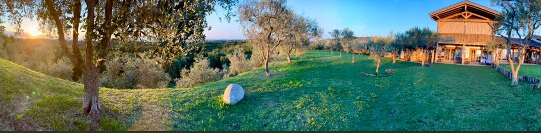 Pietra Cavalla主图