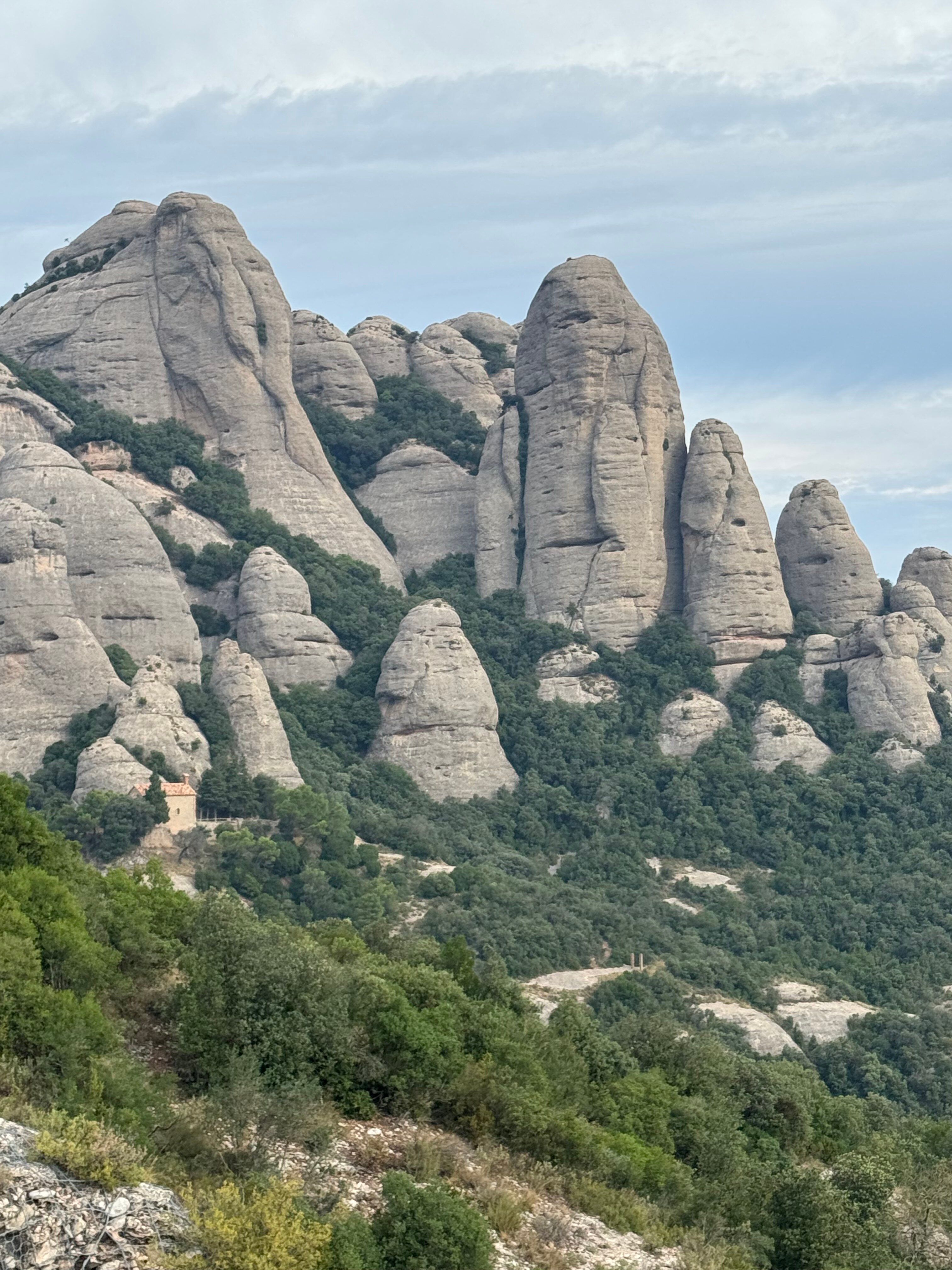 Hotel Abat Cisneros-官方