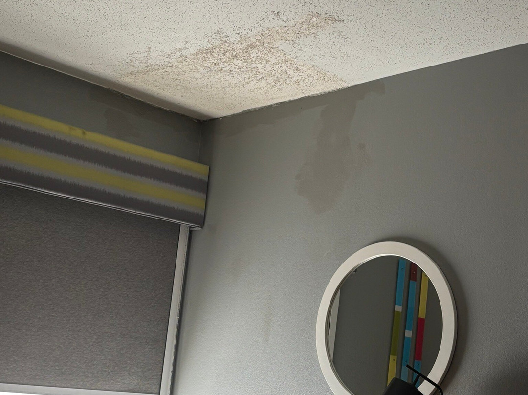 辛辛那提西北费尔菲尔德希尔顿恒庭酒店主图