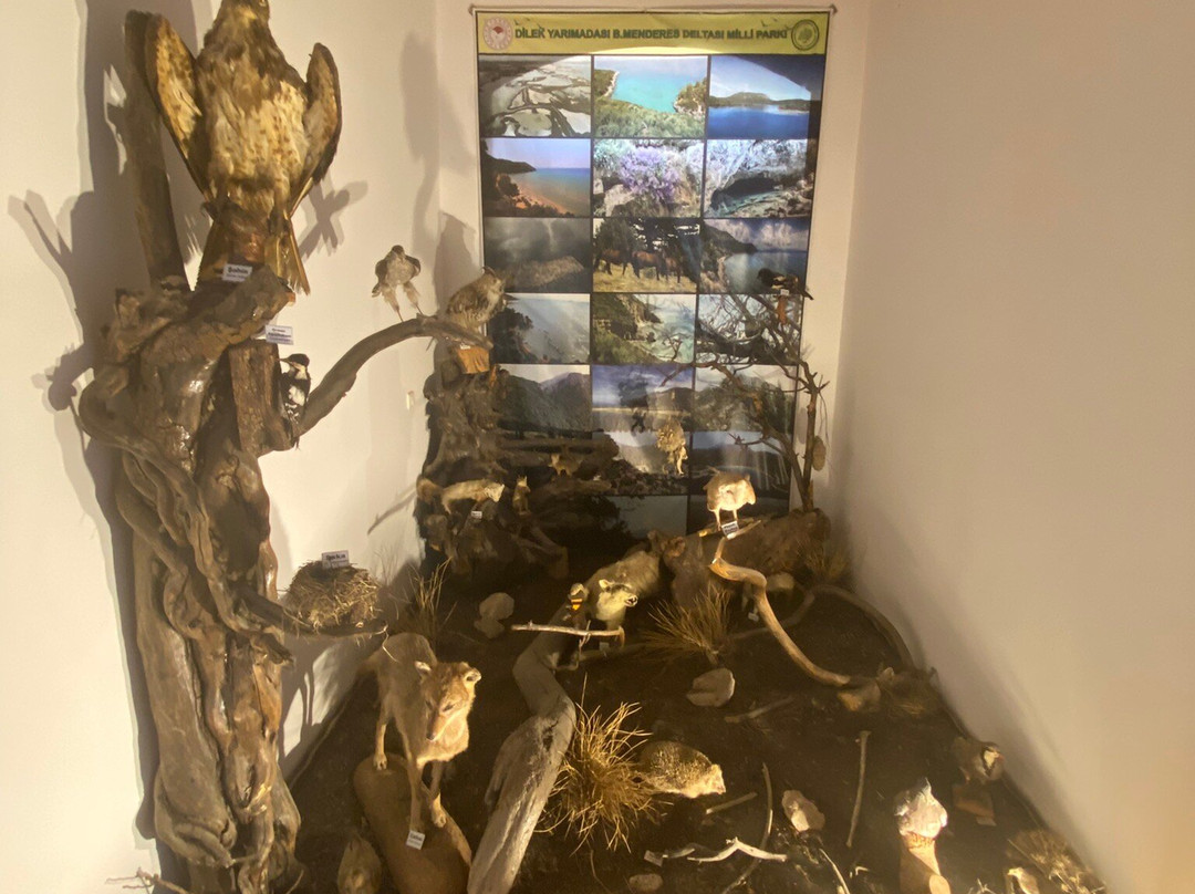 Tarihi Doğanbey köyü müzesi-Soke必去景点