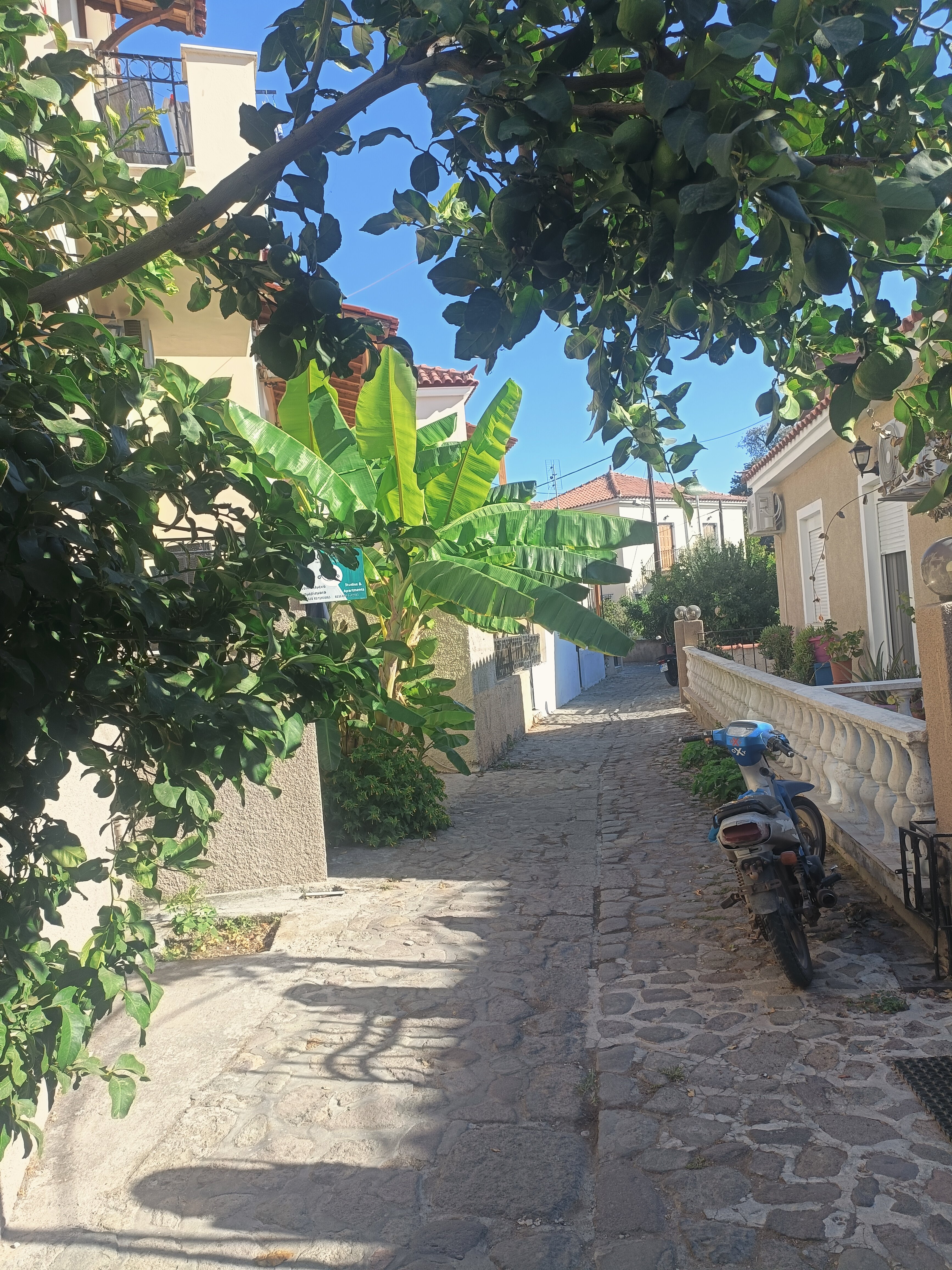 Theofilos Hotels-官方