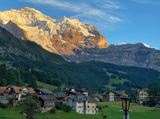 贝豪斯酒店主图