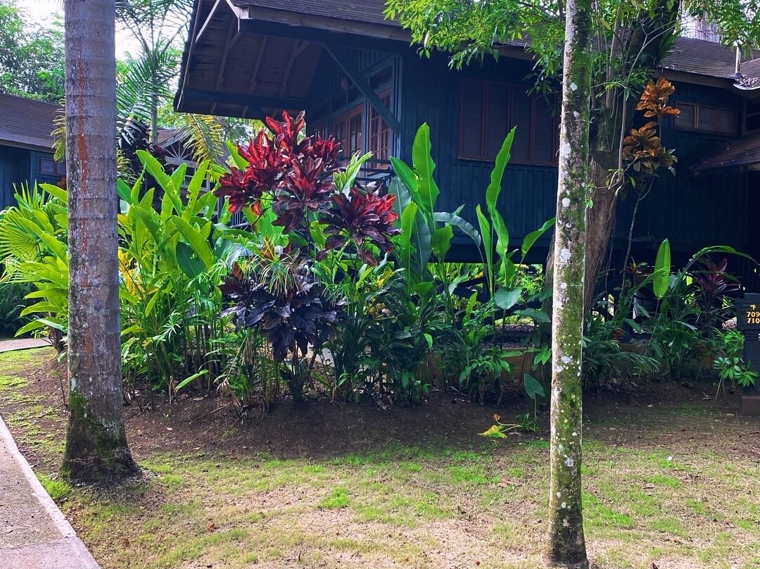 Sunset At The Palms主图