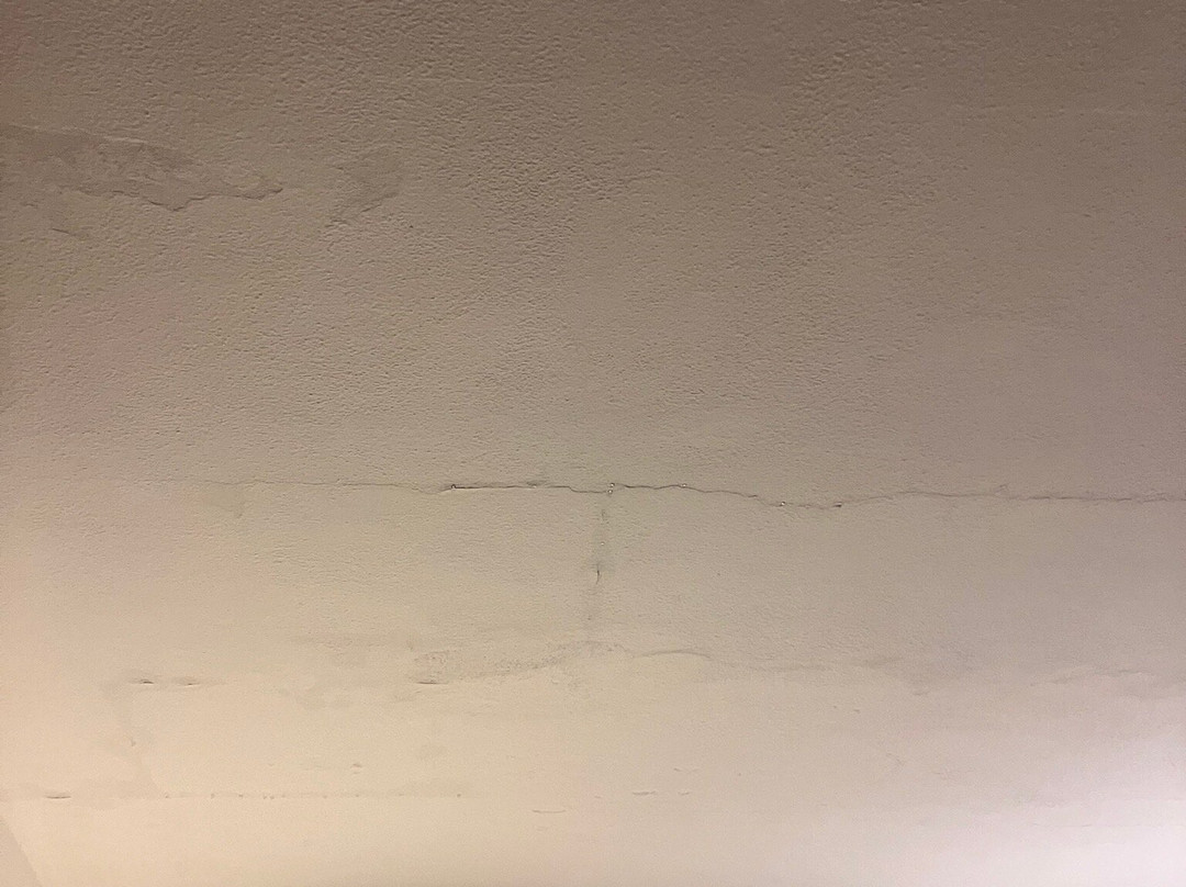 Hotel Le Mimose主图