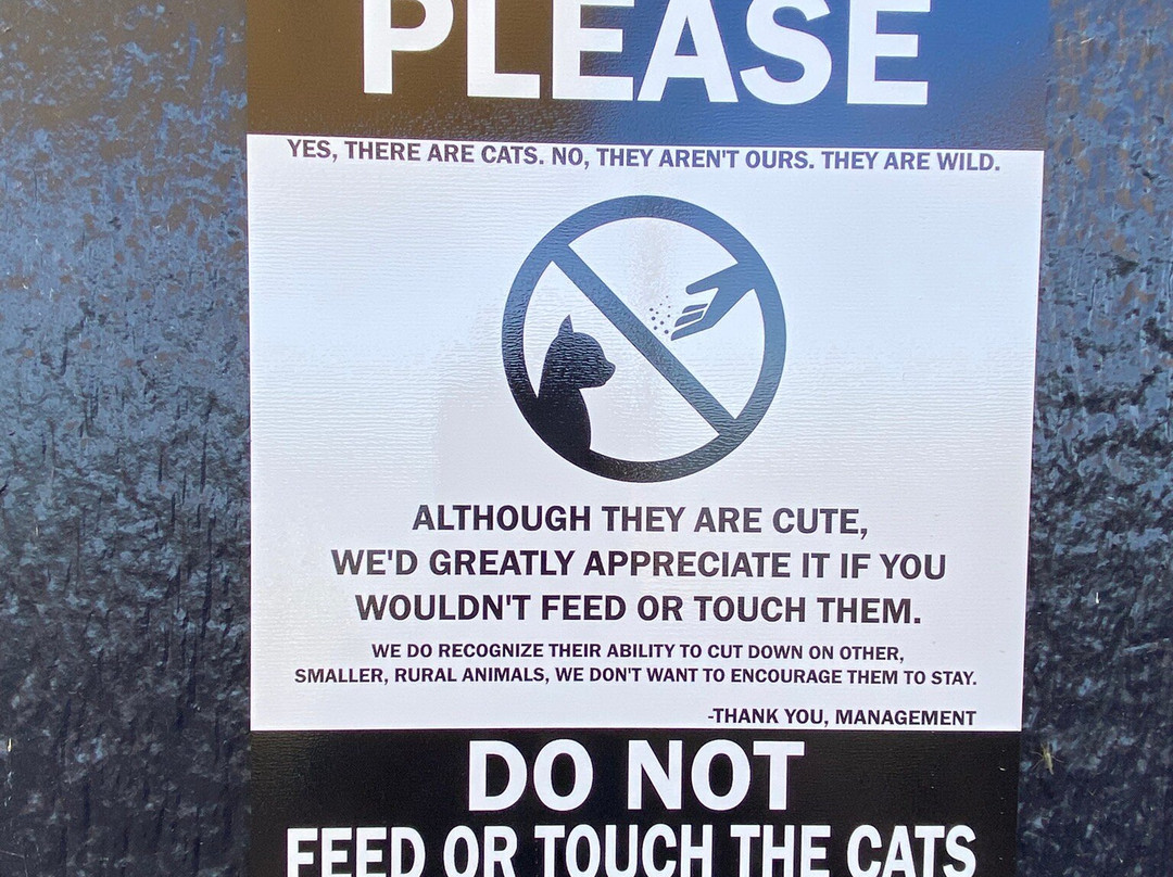 The Boathouse In Burley